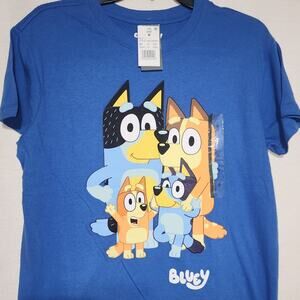 Bluey and family men's medium shirt